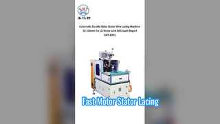 Automatic Stator Wire Lacing Machine for Motors